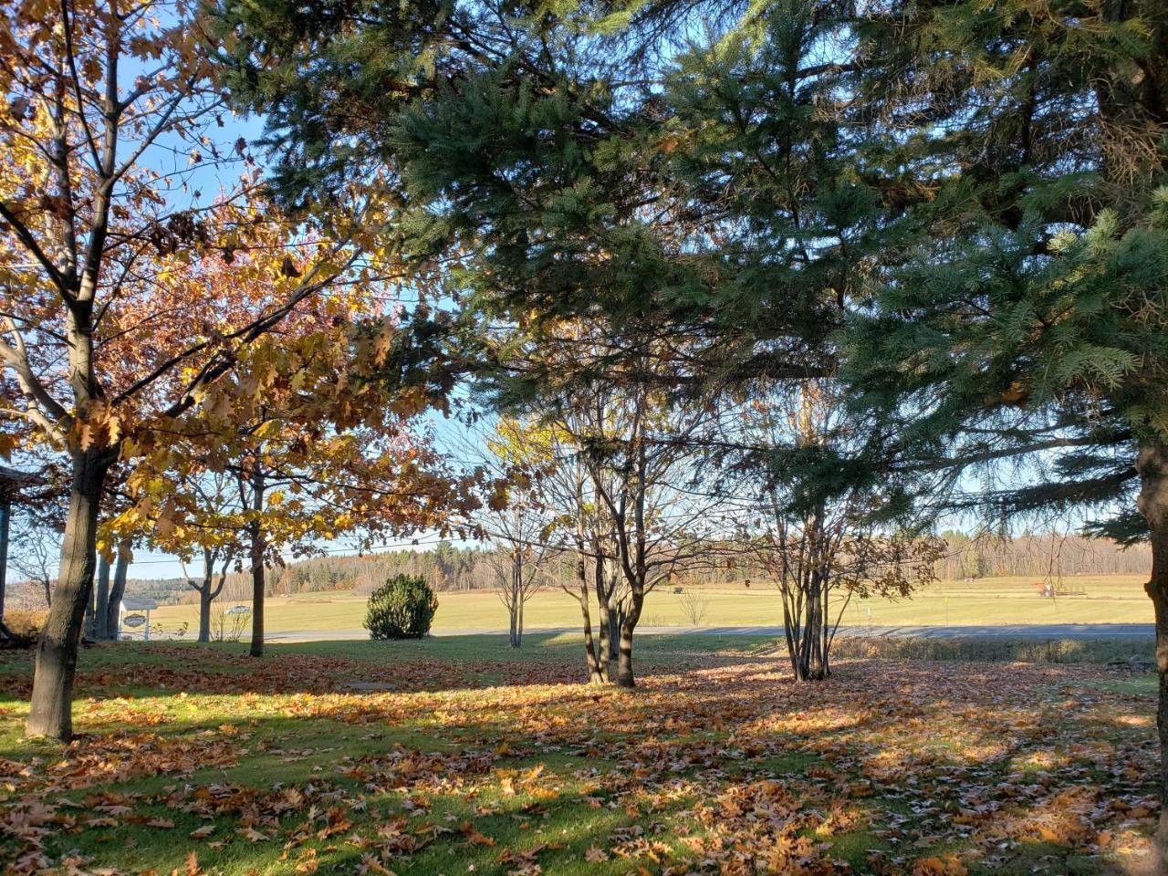 Gite Le Grandelinois Saint-Paulin ภายนอก รูปภาพ